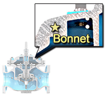 Bonnet