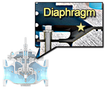 Diaphragm