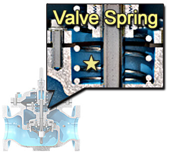 Valve Spring