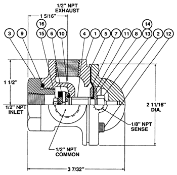 a224matrix