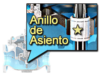 Anillo de Asiento