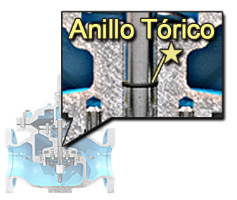 Anillo Tórico