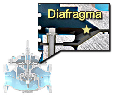 Diafragma